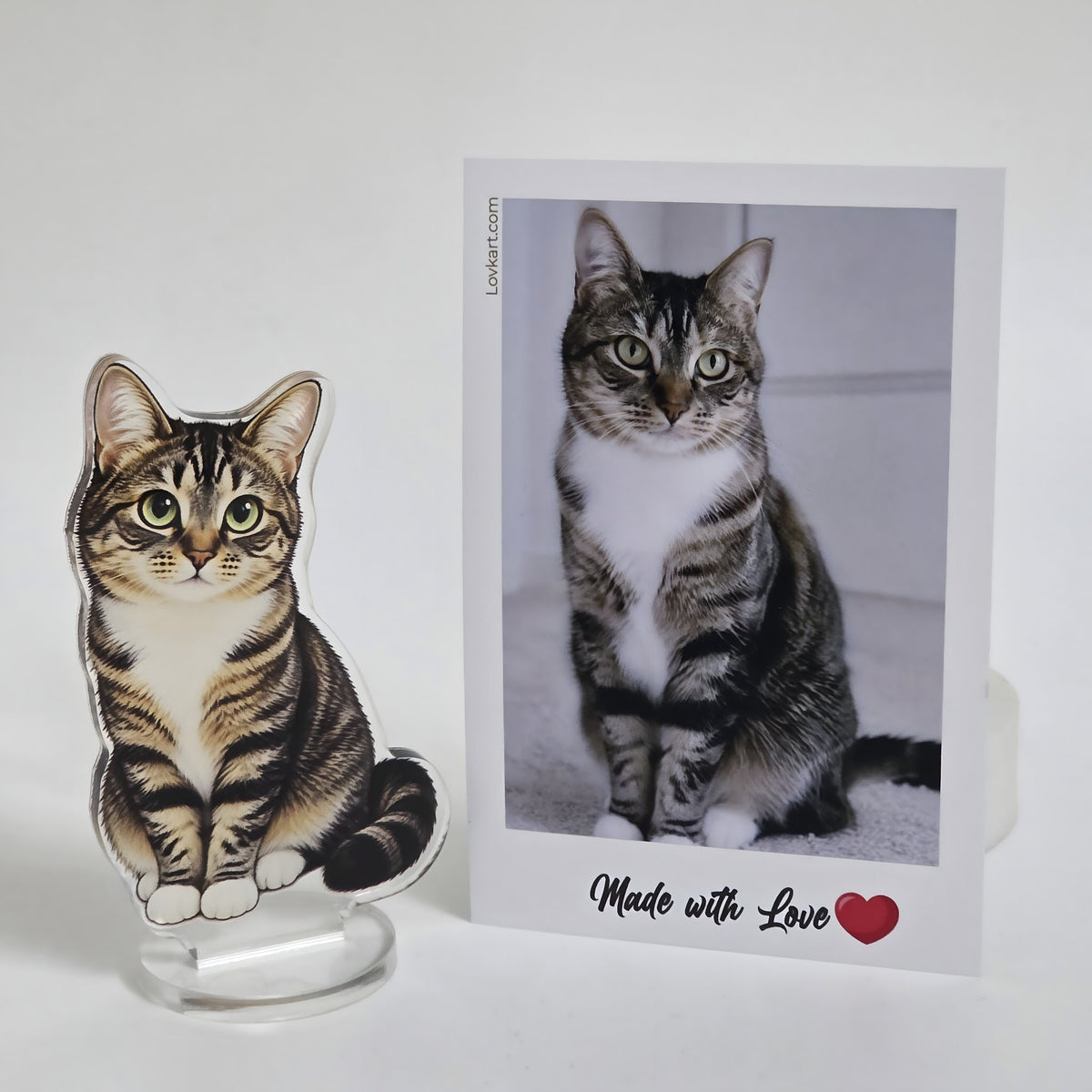 Custom pet chibi acrylic standee of a tabby cat, next to the original cat photo